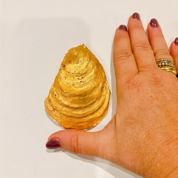 Handmade Oyster Shells - Picture 2 of 2